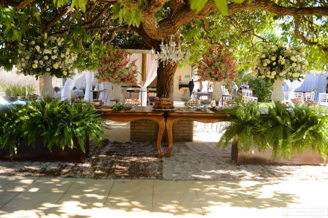 Sessão de fotos Noivos